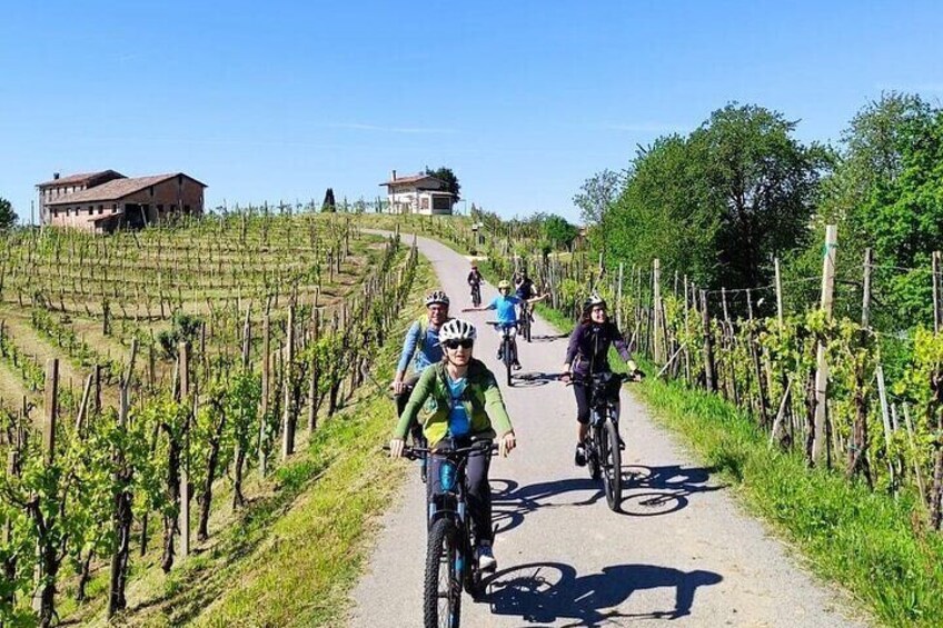 Saint Emilion e-Bike Winery Tour with Picnic Lunch