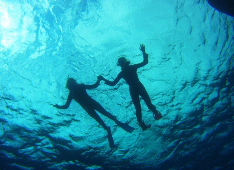 Picture 6 for Activity Tenerife: Snorkel with Turtles