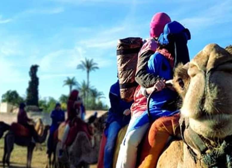 Picture 1 for Activity Marrakech: Half-Day Tour with Buggy Ride, Camel Ride and Spa