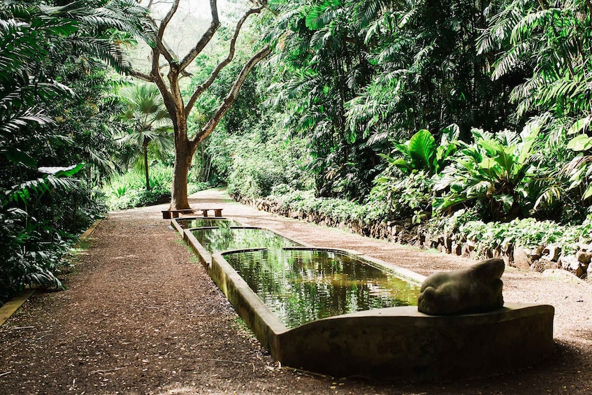 Picture 1 for Activity Kauai: Allerton Garden Guided Group Walking Tour