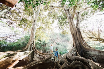 Kauai: Allerton Garden Guided Group Walking Tour