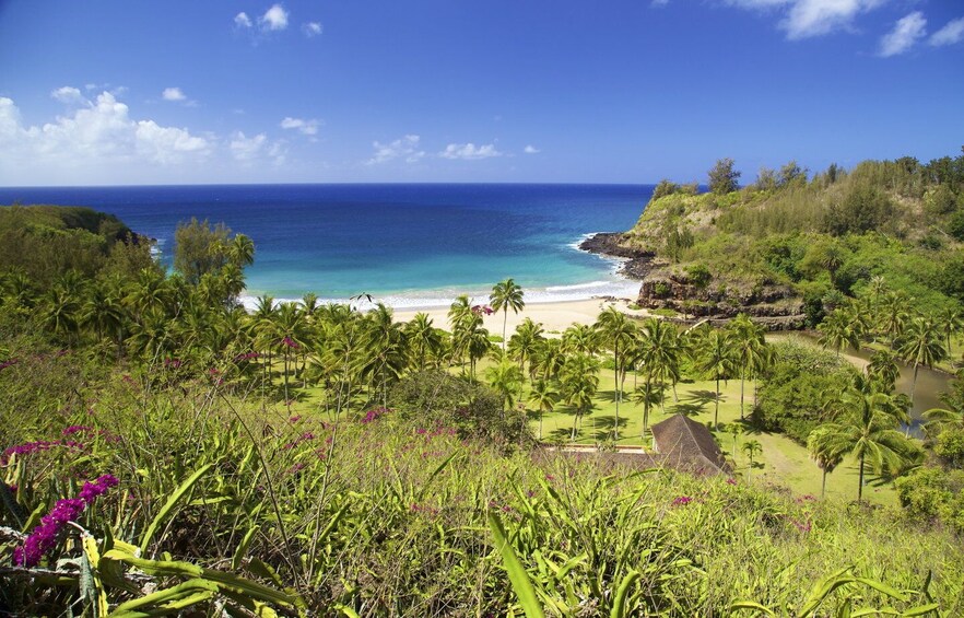 Picture 5 for Activity Kauai: Allerton Garden Guided Group Walking Tour