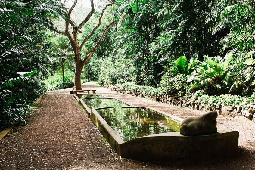 Picture 1 for Activity Kauai: Allerton Garden Guided Group Walking Tour