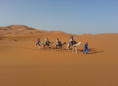 Dari Fes: Tur Gurun 2 Hari dengan Kembali ke Fes atau Marrakech