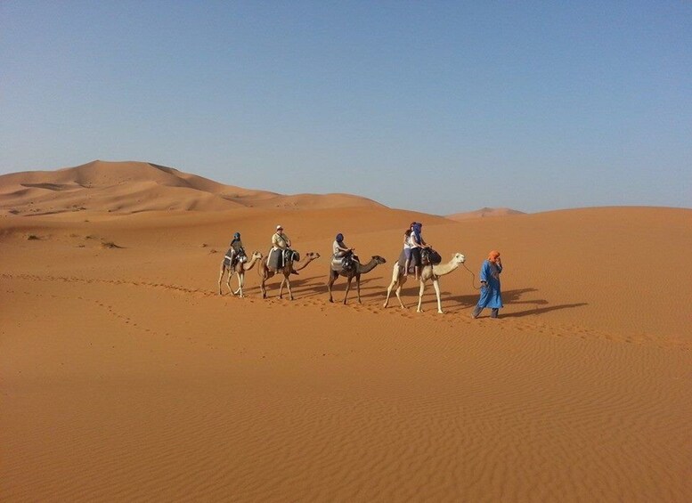 From Fes: 2-Day Desert Tour with Return to Fes or Marrakech