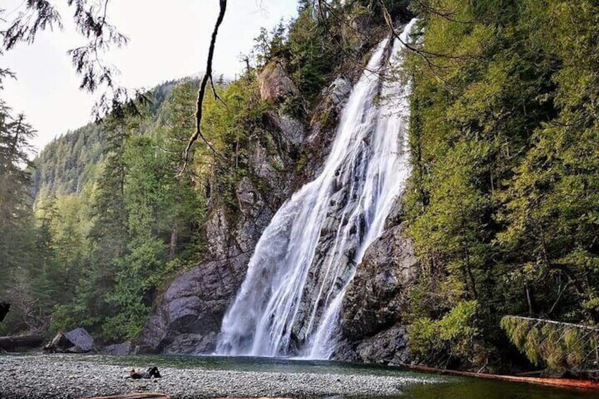 Tofino Private Tour: Coastal Excursion to Rainforest Waterfall