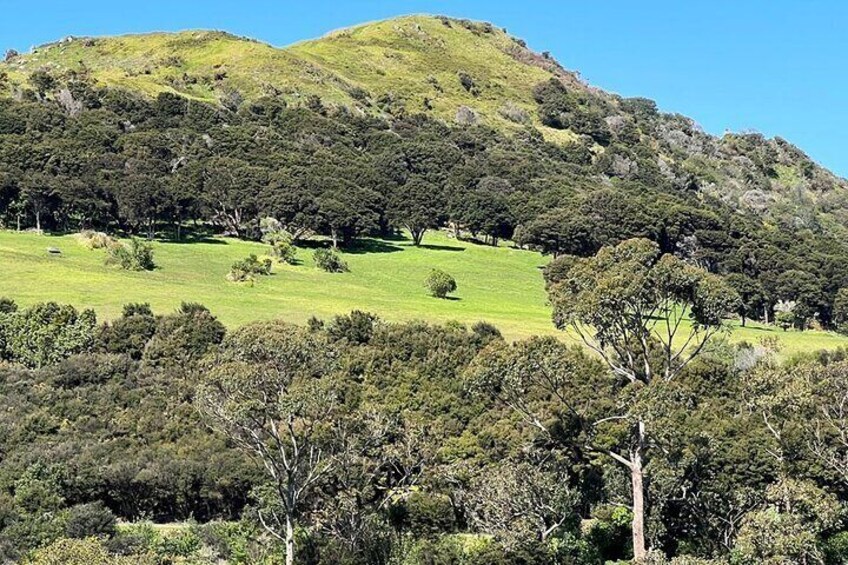 Majestic views await you on Waiheke Island