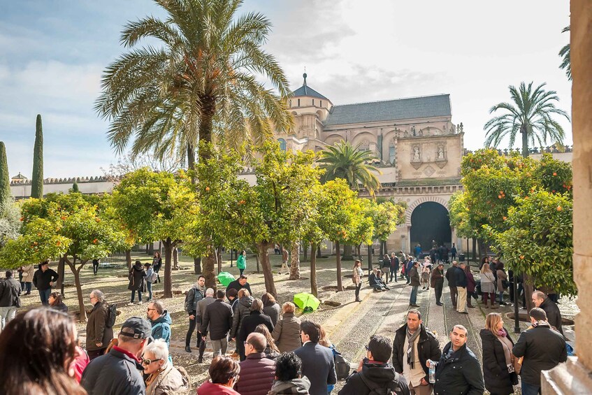 Cordoba: Monuments Walking Tour