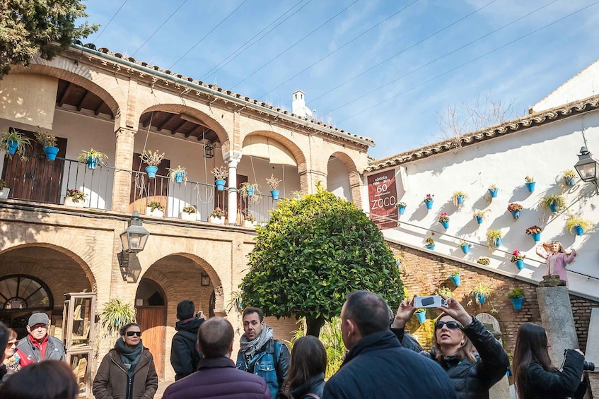 Picture 6 for Activity Cordoba: Monuments Walking Tour