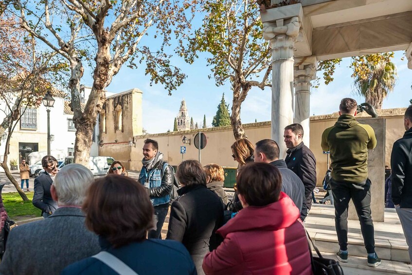 Picture 7 for Activity Cordoba: Monuments Walking Tour