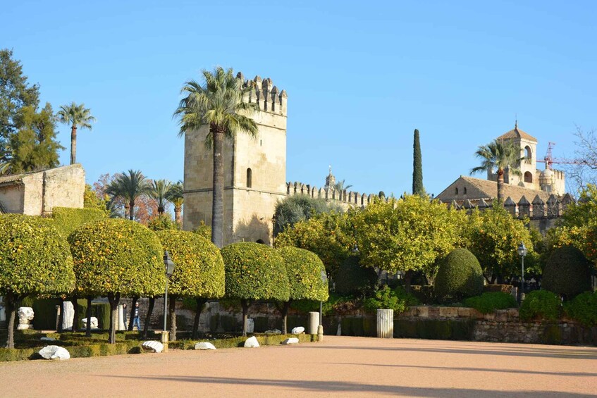 Picture 8 for Activity Cordoba: Monuments Walking Tour