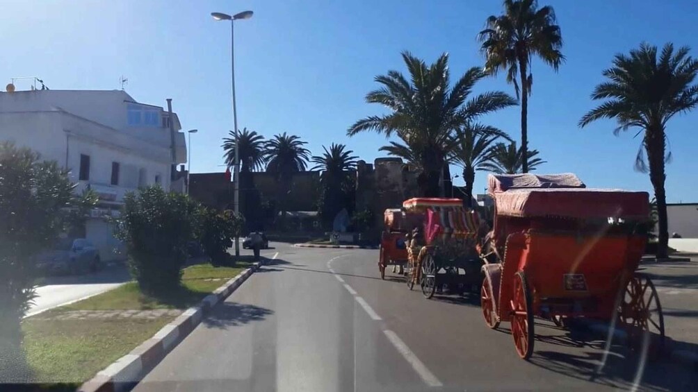 Picture 4 for Activity Asilah: Private Shore Excursion From Tangier