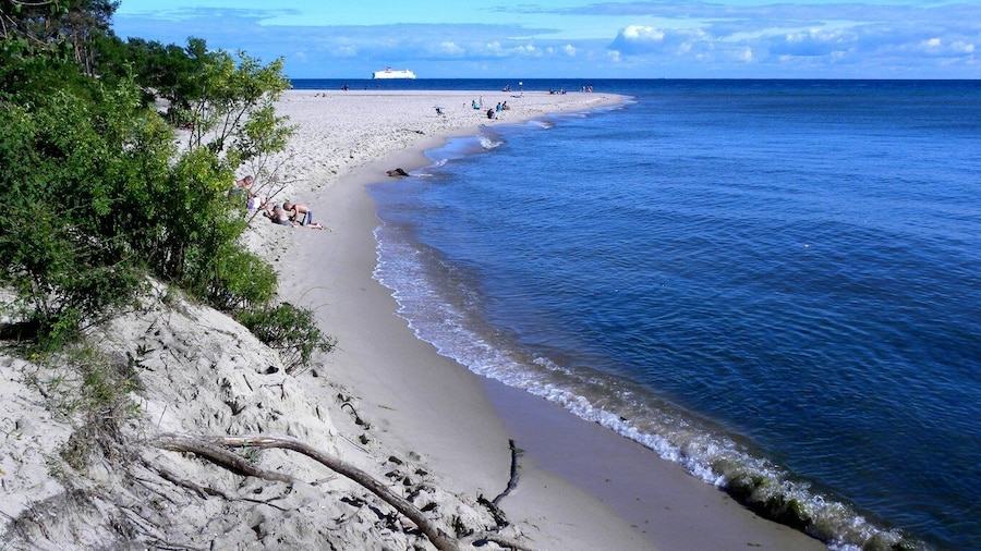Gdansk Hel Peninsula Private Guided Tour with Cruise or Car