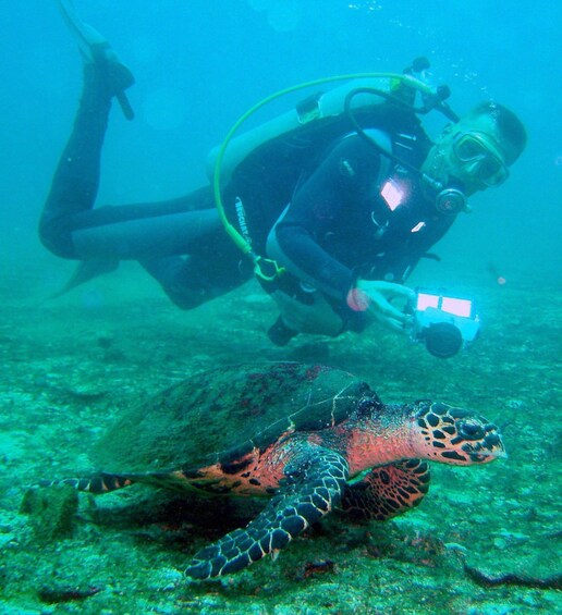 Picture 2 for Activity Papagayo Gulf: 2 Dives Half-Day Scuba Dive Tour