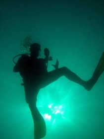 帕帕加约湾：2 次潜水半日水肺潜水之旅