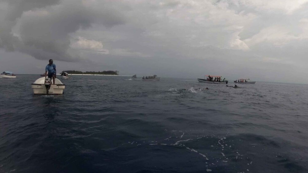 Picture 7 for Activity Zanzibar: Swimming with Dolphins and Snorkeling Private Tour