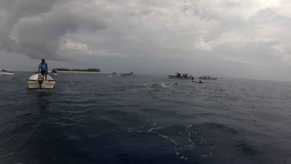 Picture 7 for Activity Zanzibar: Swimming with Dolphins and Snorkeling Private Tour