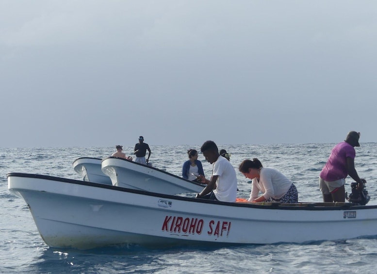 Picture 4 for Activity Zanzibar: Swimming with Dolphins and Snorkeling Private Tour