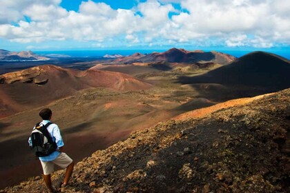 Dagtour op Lanzarote door het gebied van het Nationaal Park Timanfaya