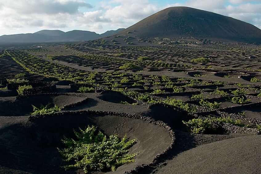 Picture 1 for Activity Arrecife/Playa Blanca: Timanfaya National Park Area Day Tour