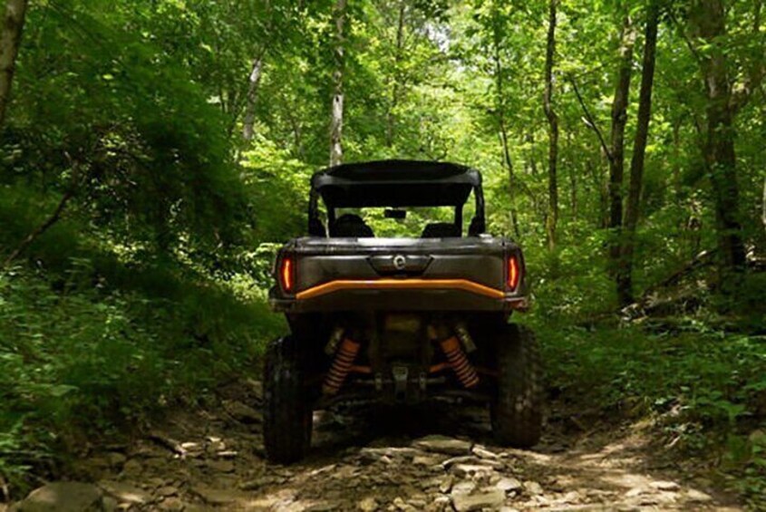 Eco-Offroad Can-Am UTV Tour in San Juan, Puerto Rico