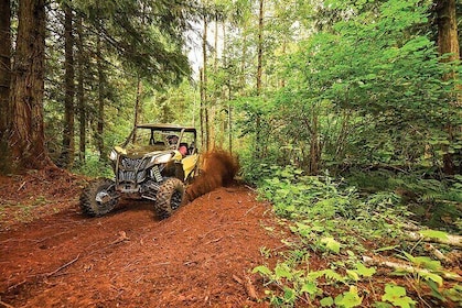 Offroad-UTV-Tour: Erkunden Sie Puerto Rico, nur wenige Minuten von San Juan...