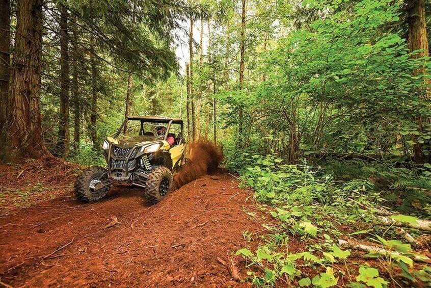 Puerto Rico Offroad UTV Experience in Hacienda Campo Rico - Carolina, Puerto Rico. Only 5 minutes away from San Juan!