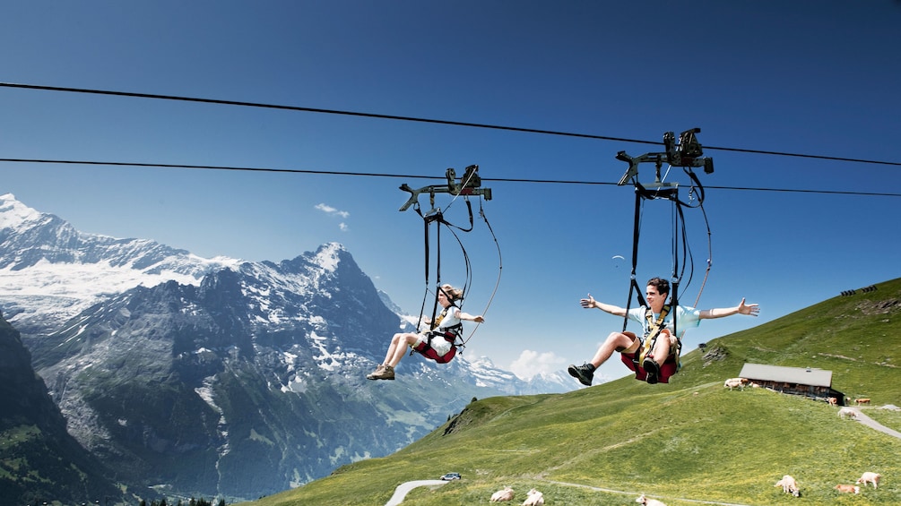 Man and woman zip lining in Zurich