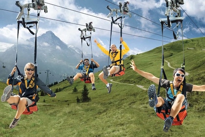 Tour zum Berg First und Abenteuer Grindelwald ab Zürich