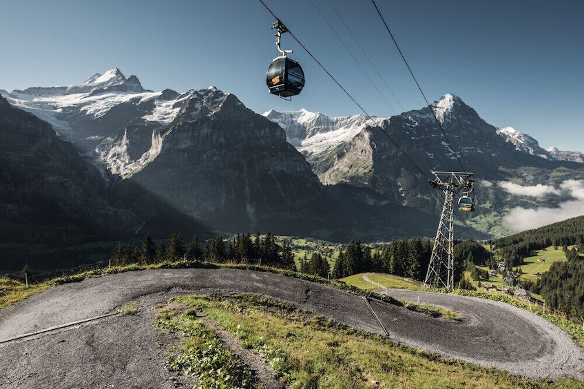 Mount First & Grindelwald Adventure from Zürich