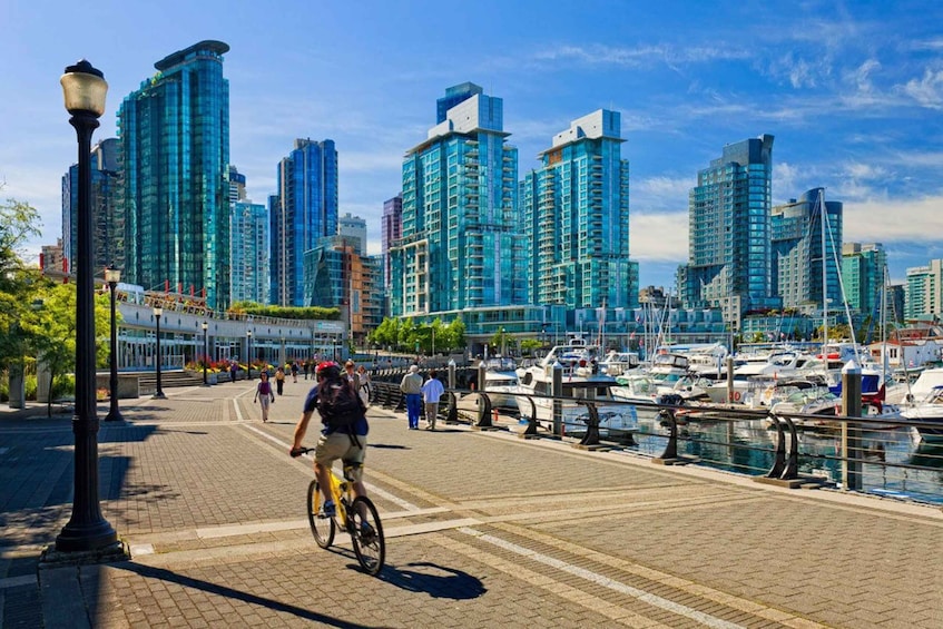 Picture 7 for Activity Vancouver: Highlights and North Shore Full-Day Private Tour