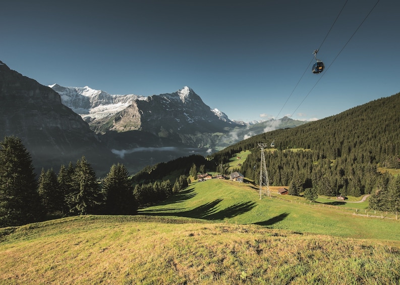 Mount First & Grindelwald Adventure from Lucerne