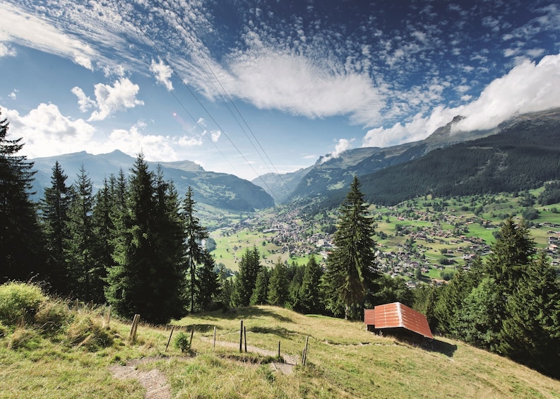 Mount First & Grindelwald Adventure from Lucerne