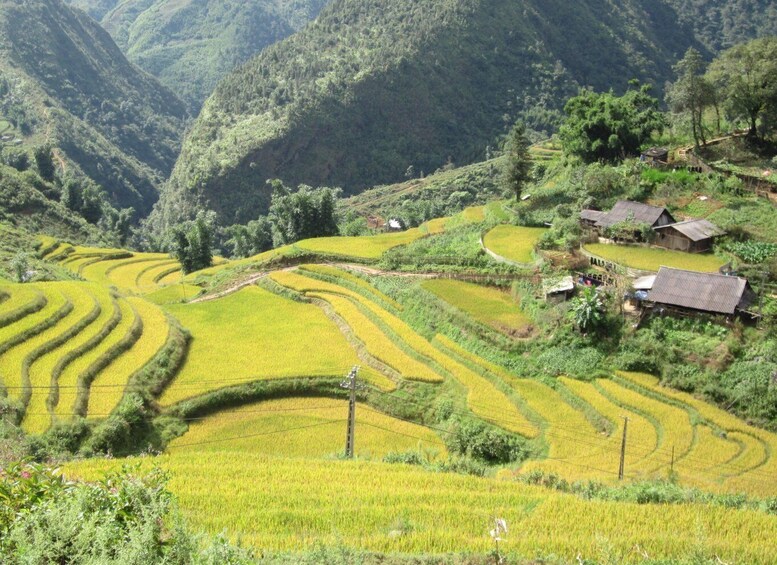 Picture 3 for Activity Private Hoang Lien National Park & Tribal Village Trek