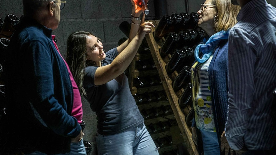 Celorico De Basto: Quinta de Santa Cristina Winery Tour