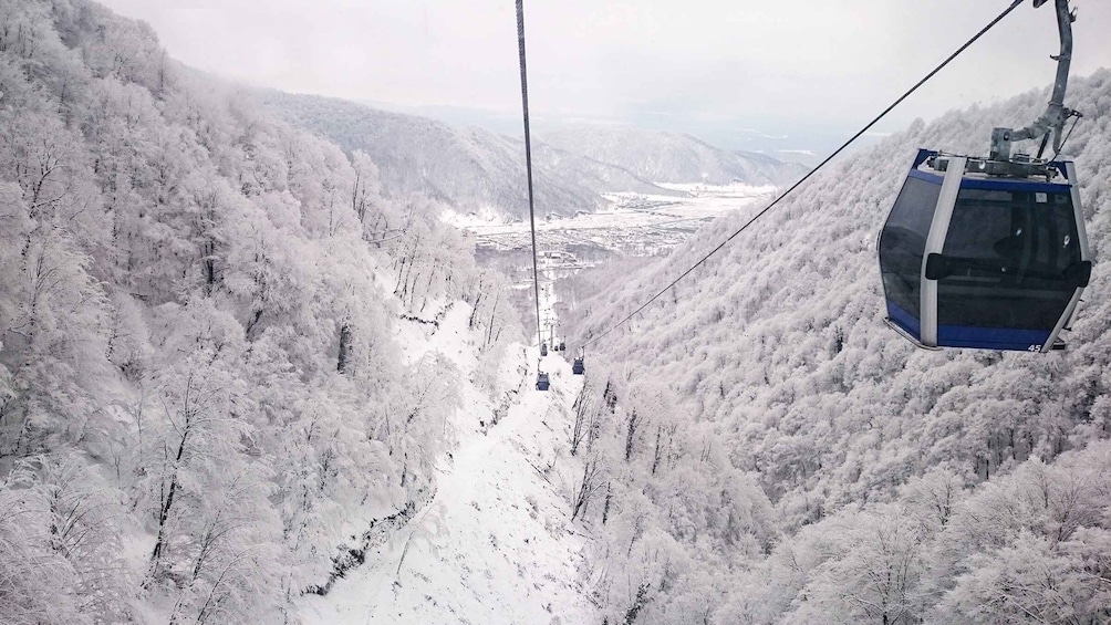 Picture 6 for Activity From Baku: Gabala and Shamakhi Nature Tour