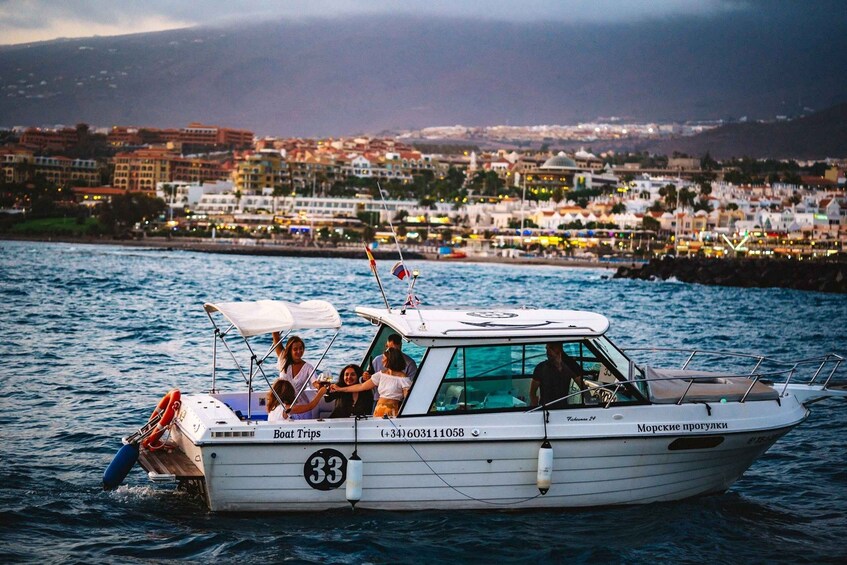 Picture 1 for Activity Tenerife: South Island Boat-Trip and Sea Excursion