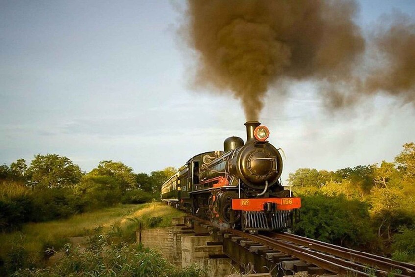 Picture 3 for Activity Victoria Falls: Steam Train Ride with Dinner