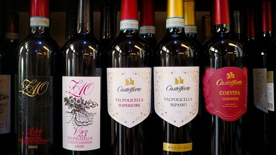 Verona: Blindfolded Wine Tasting