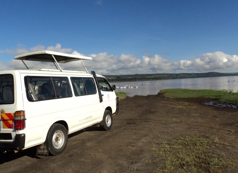 Picture 3 for Activity Lake Nakuru National Park: Full-Day Tour