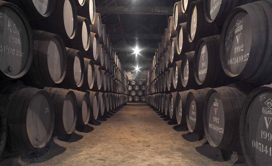 Porto: Graham's Port Lodge Tour with Premium Wine Tastings