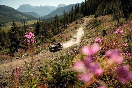 Side-by-Side Off-Roading Tours from Whistler