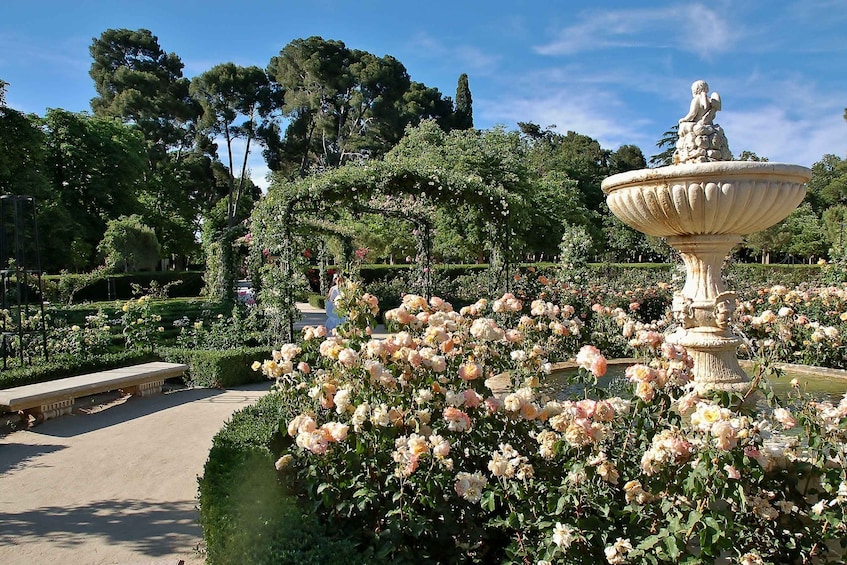 Picture 5 for Activity Madrid: Iconic Retiro Park Segway Tour