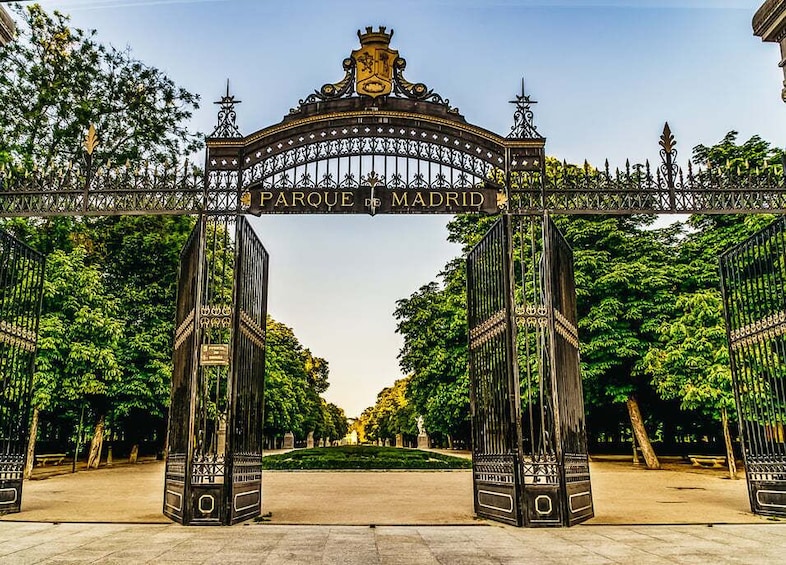 Picture 1 for Activity Madrid: Iconic Retiro Park Segway Tour