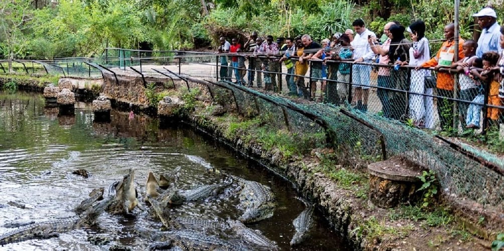 Picture 33 for Activity Mombasa: Private City Tour with Fort Jesus & Haller Park