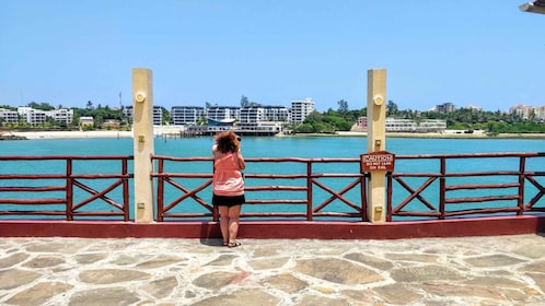 Mombasa: Private City Tour with Fort Jesus & Haller Park