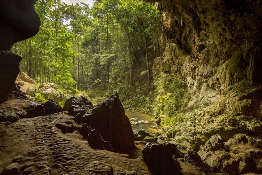 Picture 2 for Activity San Ignacio: Caracol Maya Ruins & Waterfall Tour with Lunch