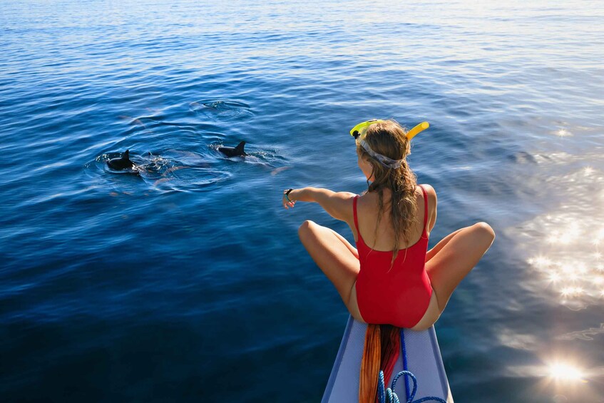 Picture 8 for Activity Benalmadena: Dolphin Watching Boat Tour