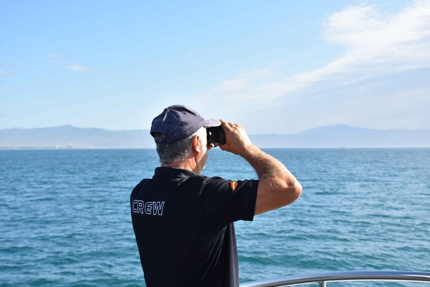 Picture 3 for Activity Benalmadena: Dolphin Watching Boat Tour