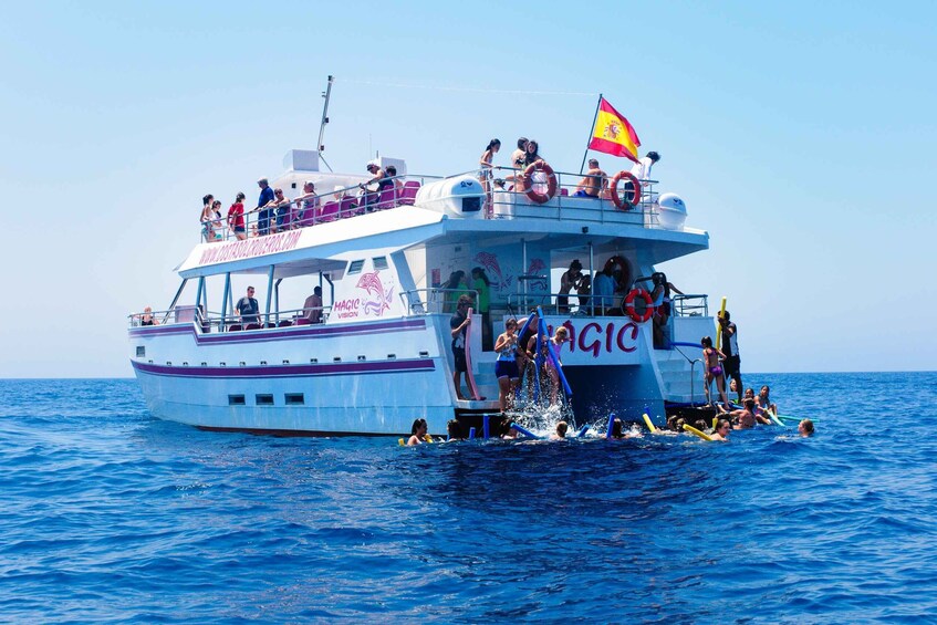 Picture 4 for Activity Benalmadena: Dolphin Watching Boat Tour